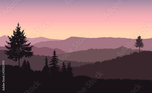 Mountains landscape. Silhouette of coniferous trees. Evening. Violet and yellow shades.