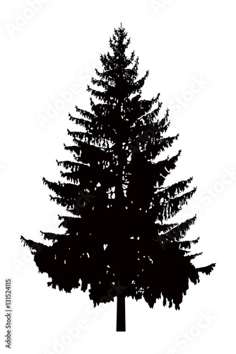 Silhouette of pine tree. Can be used as poster, badge, emblem, banner, icon, sign, decor...