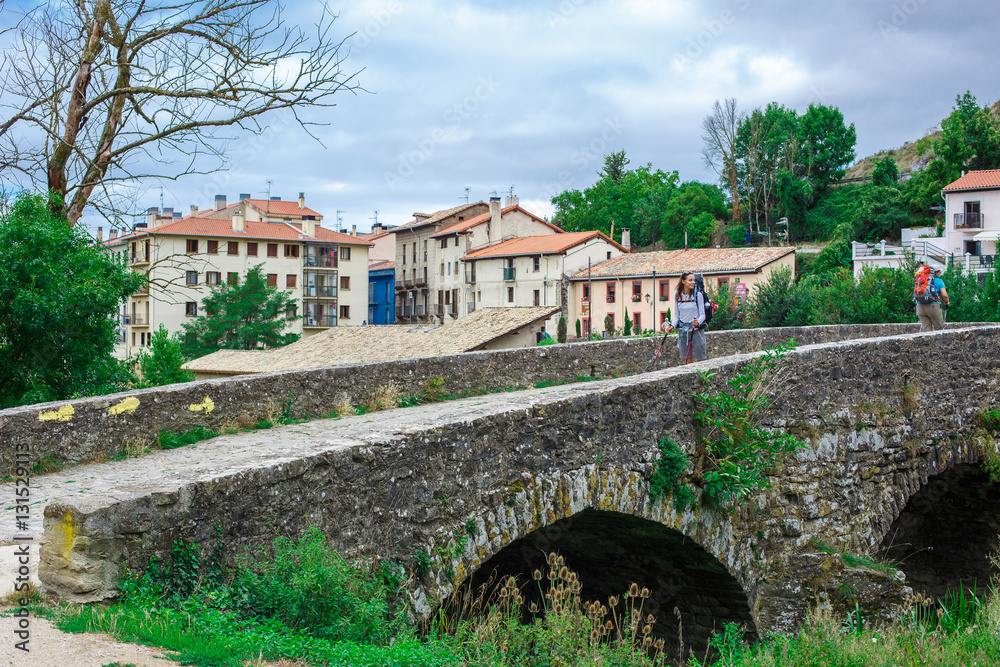 Fototapeta premium Beautiful landscape with bridge