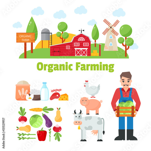 Fototapeta Naklejka Na Ścianę i Meble -  Organic farm vector illustration.