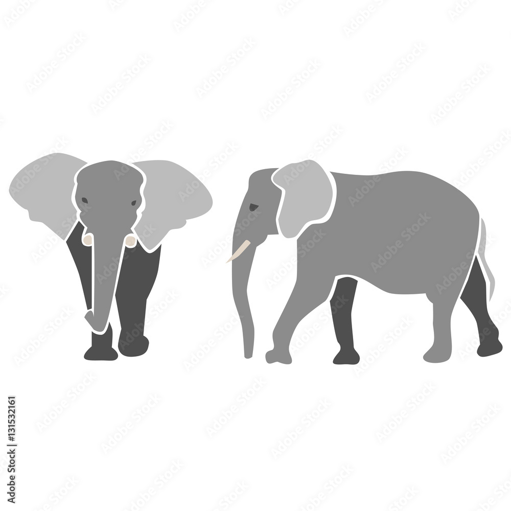 Elephants in grey, isolated vector