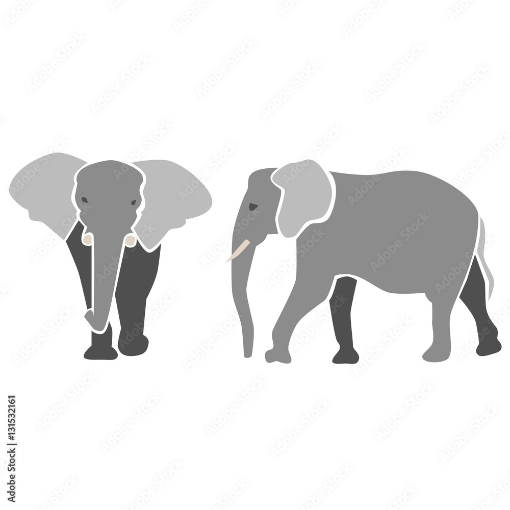 Elephants in grey, isolated vector Elephants in grey, isolated vector