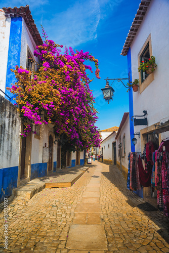 Fényképezés Beautiful narrow streets in the medieval town of Obidos. Portugal