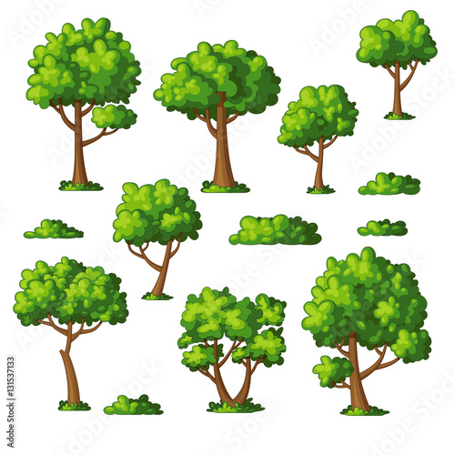 Illustration of some trees and bushes