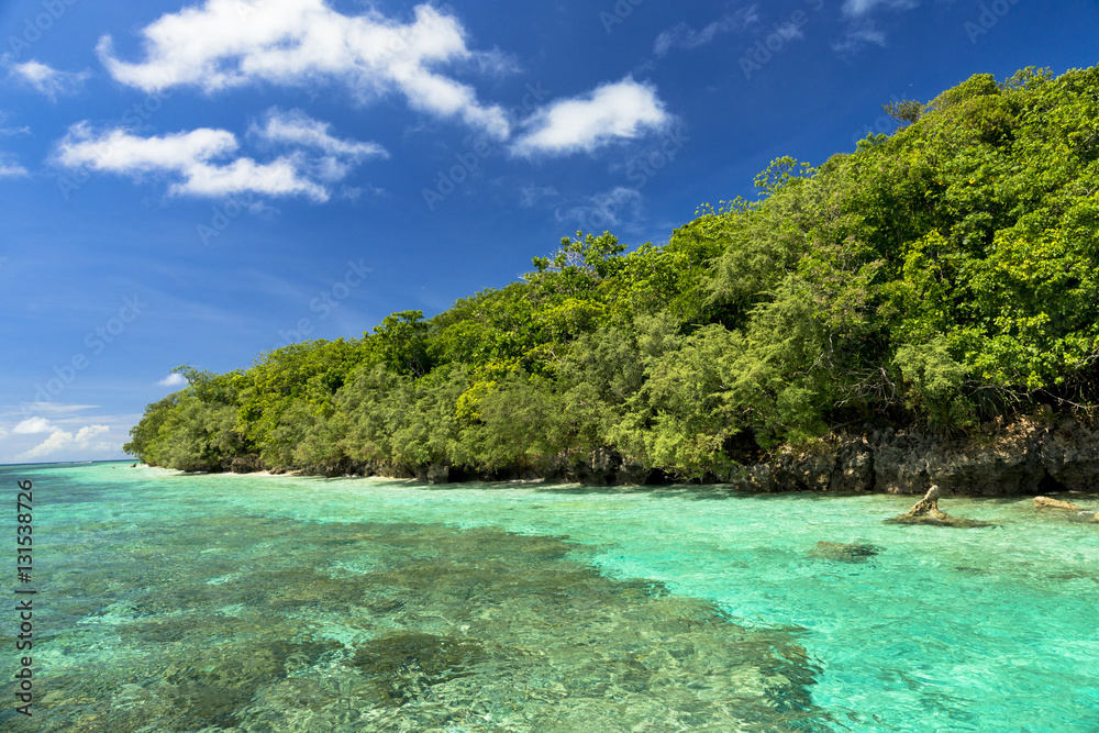Fototapeta premium ビッグ・ドロップ・オフのサンゴ礁の海