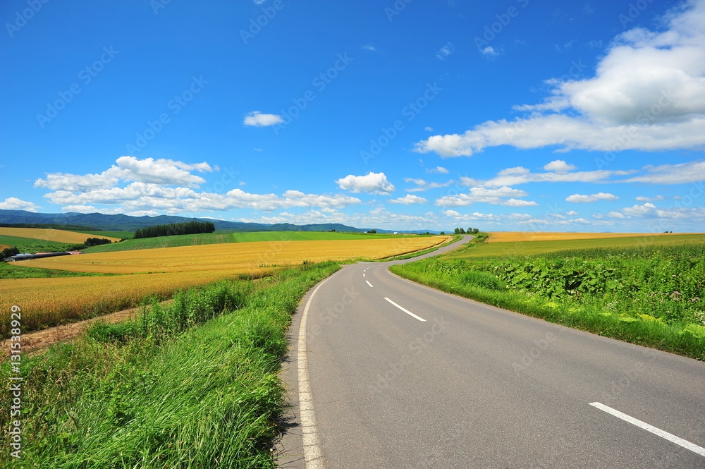 Rural Road at Countryside of Hokkaido, Japan