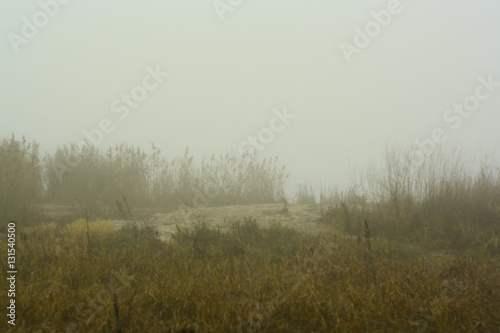 Пляж в тумане
