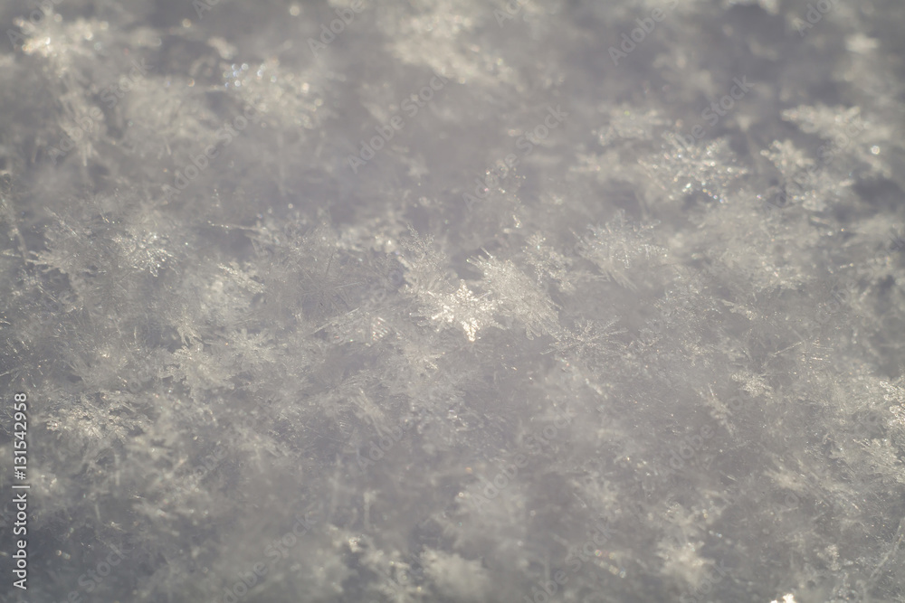 Obraz premium Fresh Snow Macro