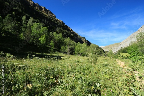 Mountains in the Pyrenees  Ordesa Valley National Park   Spain.    