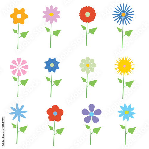 set of different types of flowers vector  photo