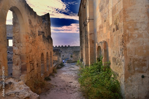 ruinas del convento de San Frutos