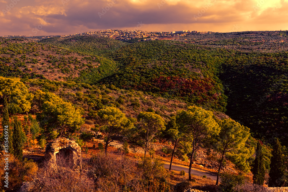 Arab Settlement in Israel