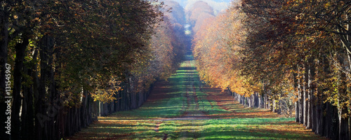 Fotografia Parc de versailles