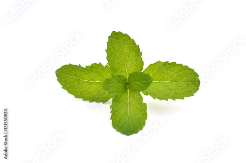 Close up fresh green mint leaves on white background and selective focus