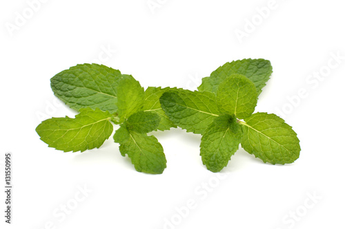 Close up fresh green mint leaves on white background and selective focus