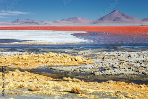 Red Lagoon (Red Lake) there are many colors, red, yellow, blue, white, a delight for sight and for the flamingos that live in it, Eduardo Avaroa Andean Fauna National Reserve, Bolivia photo