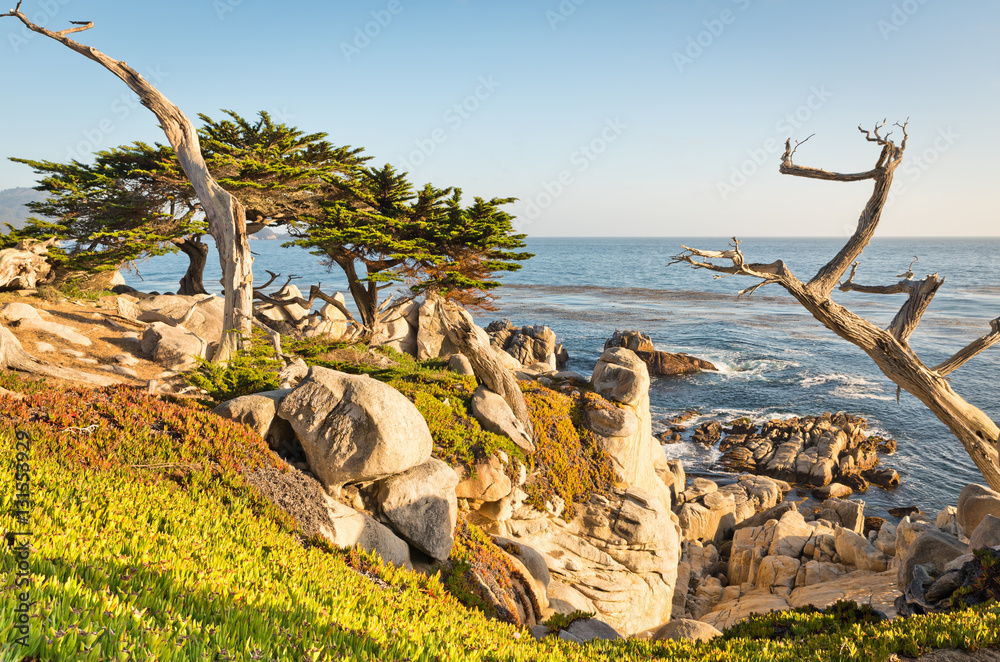 Scenic Views of California coastline