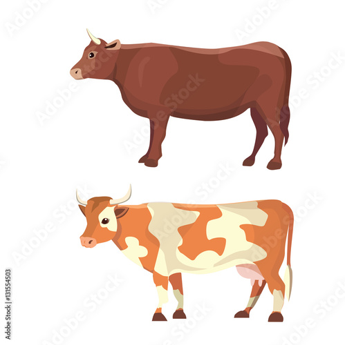 different cows, isolated Vector illustration. Mammal funny animals. Set milk cow
