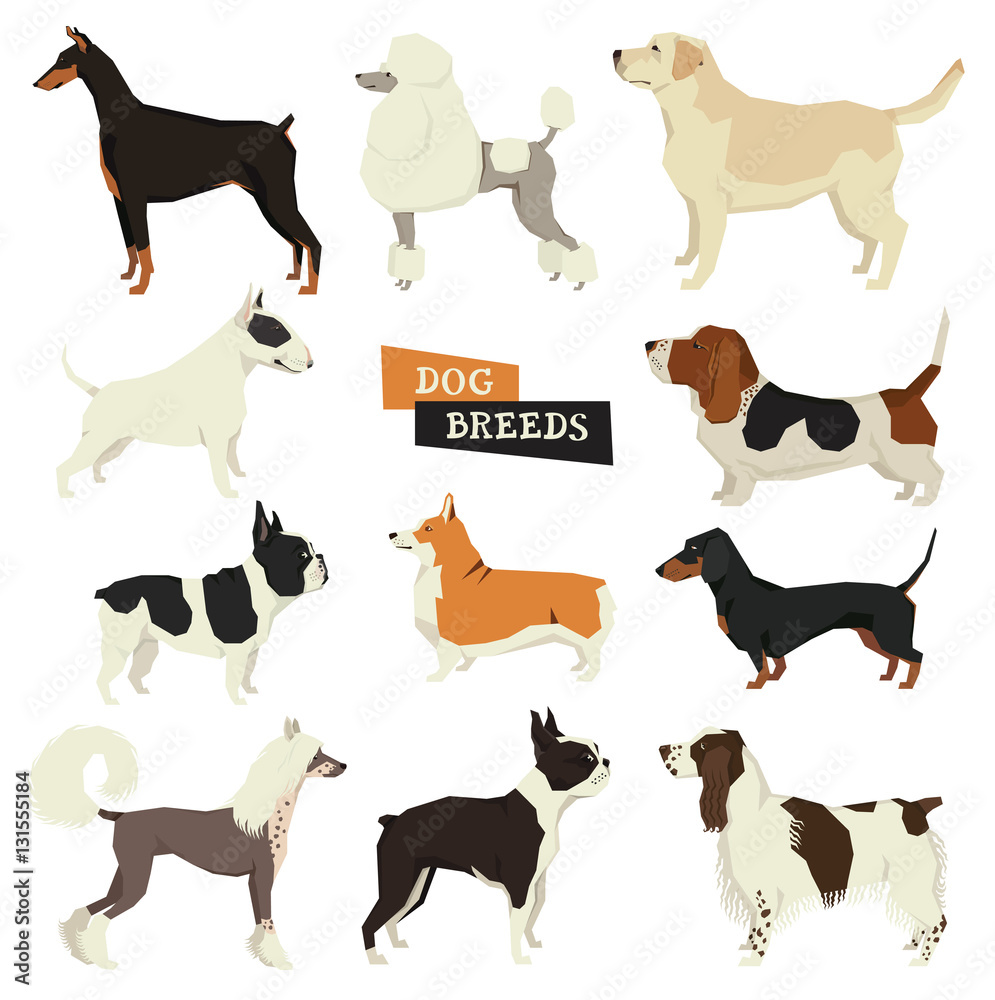 Dog collection. Geometric style. Vector set of 11 dog breeds. Isolated ...