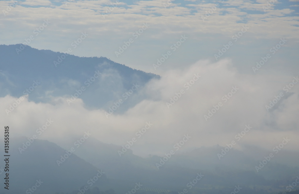cloudy and mist floating cover mountain in sunny day