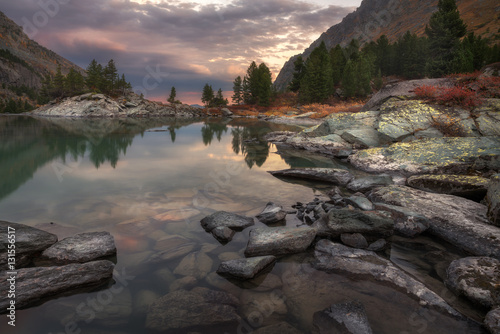 Canvas Print Mountain Lake Sunset Coast With Pine Forest And Rocks, Altai Mountains Highland