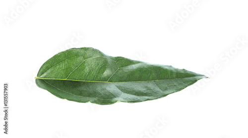 Tiliacora triandra on a white background