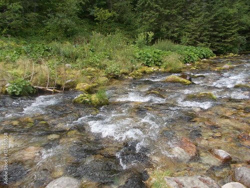 Górski Potok, Tatry,Nature, Natur, طبيعة, 自然, nature, טבע, 自然, natur, natura, príroda, طبیعت