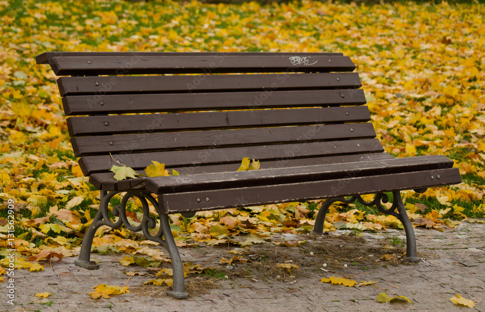 Lone bench in the autumn park on the yellow leafs background Lone bench in the autumn park on the yellow leafs background
