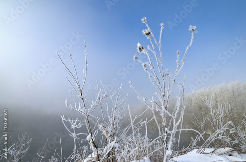 Frosty Morning on the lake, fog and frost on the grass. © Bahvalov-s