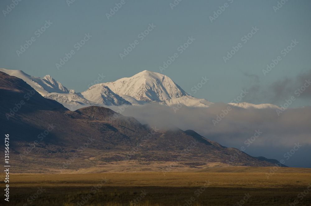 Wildlife Altai. Steppe with grass and mountain peak with snow in
