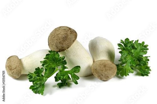 king oyster mushrooms with parsley isolated on white background