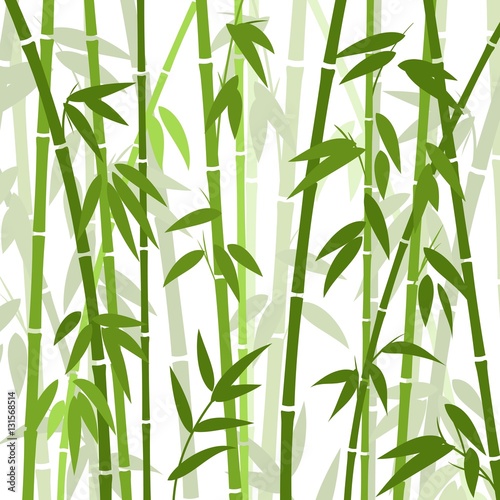 Naklejka Chińska lub japońska bambusowa trawa orientalna tapetowa wektorowa ilustracja