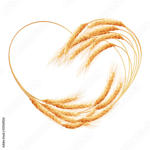 Wheat ears Heart isolated. EPS 10