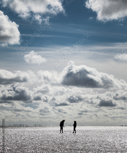 At the tidelands 