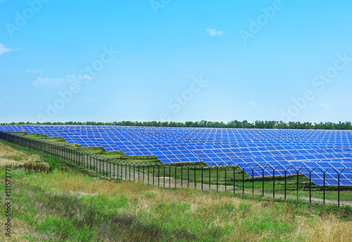 Solar panels in summer field