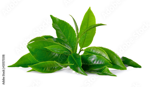 green tea leaf isolated on white background