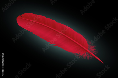Red feather on a black background. Vector