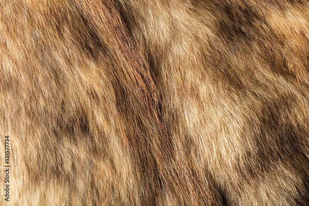 texture of natural fur texture of natural fur