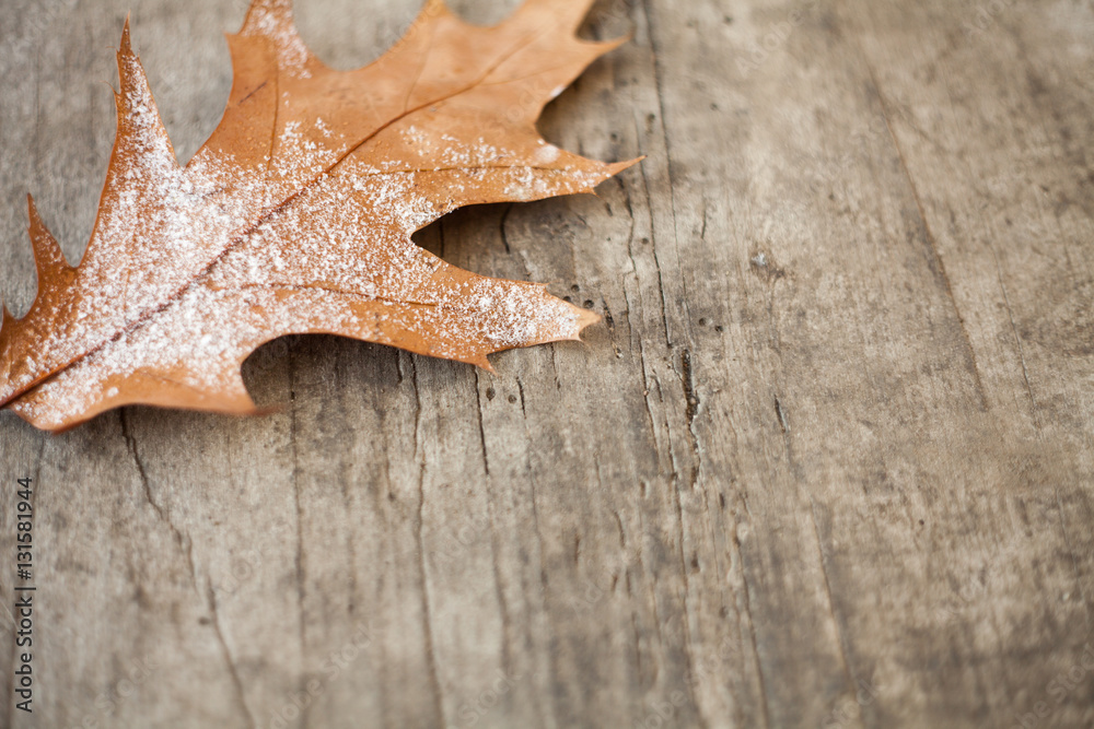 Frozen autumn leaves on with ice crystals on wood background. Frozen autumn leaves on with ice crystals on wood background.