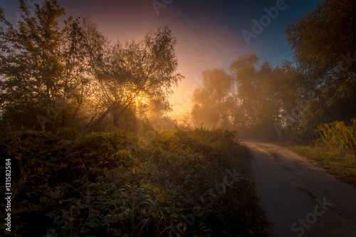 Beautiful morning landscape with rural road at the woods. © stone36