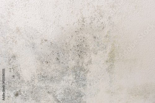 Mould and moisture buildup on wall