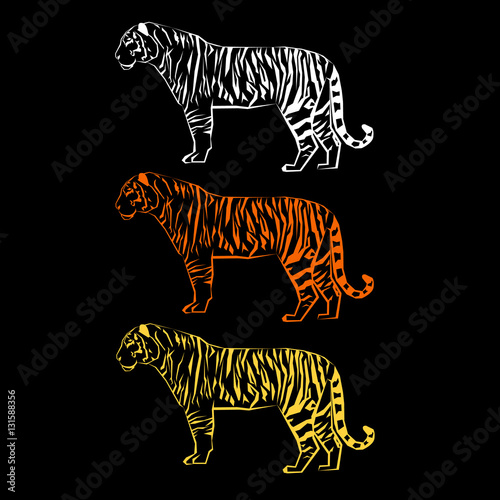 Fototapeta Naklejka Na Ścianę i Meble -  tiger vector wild illustration strength mammal wildlife