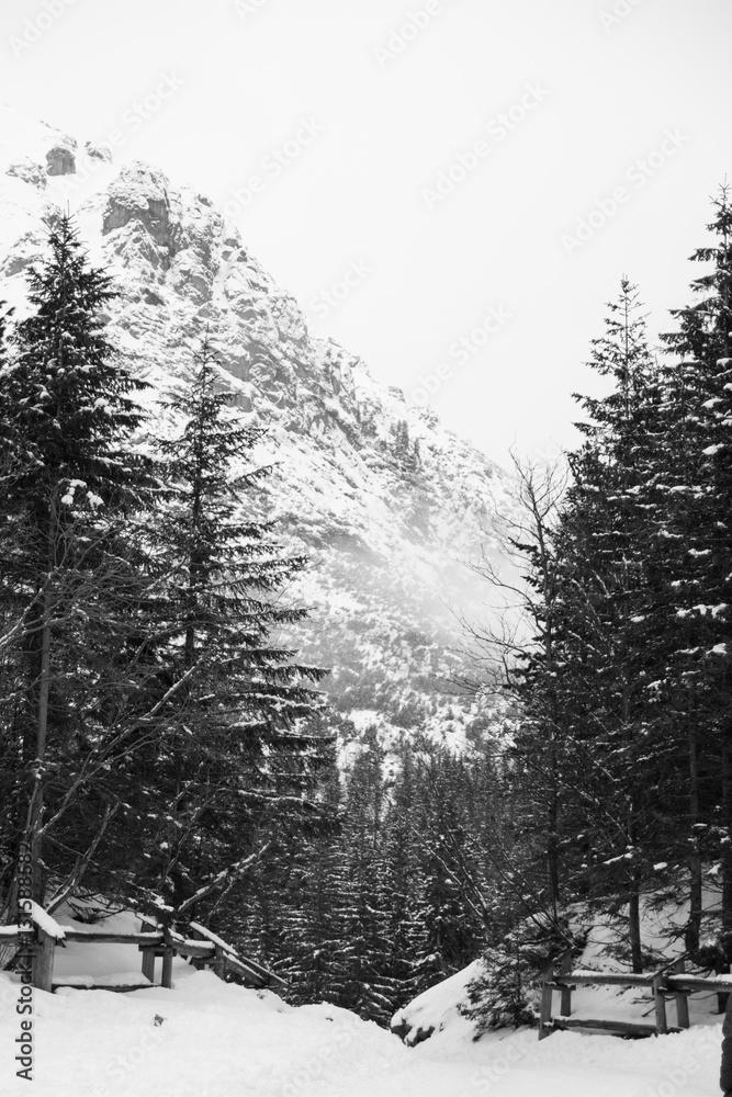 Tatra Mountains  in the winter - monochrome