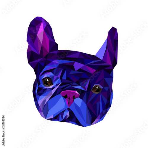 dog vector breed cute pet animal bulldog
