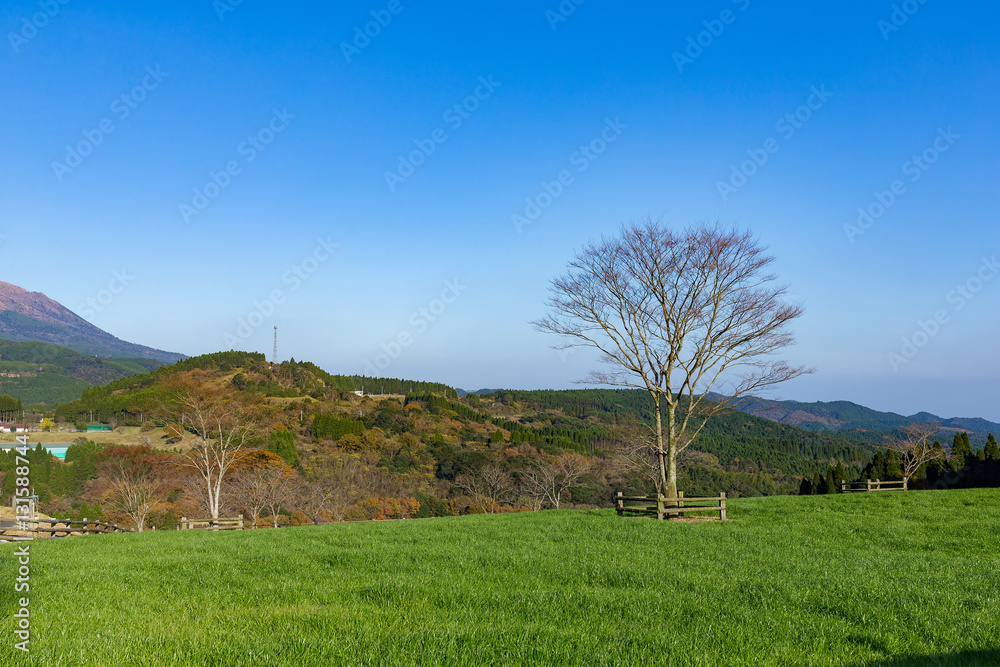 Obraz premium Beautiful farmland