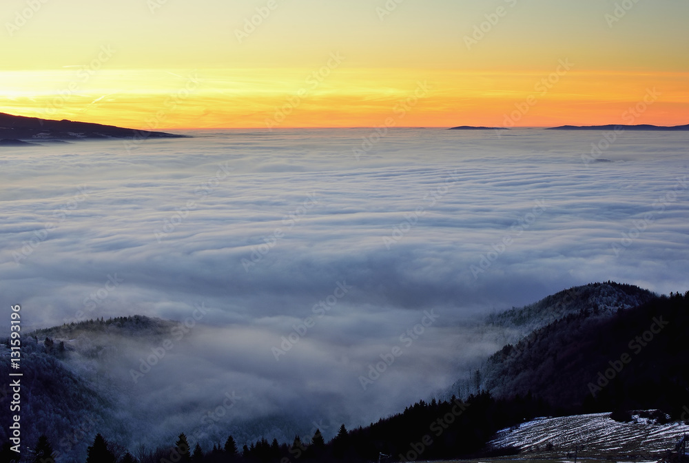 Landscape with trees and fog. Winter inversion in Slovakia. Freeze land. Low sky scenery at sunrise.