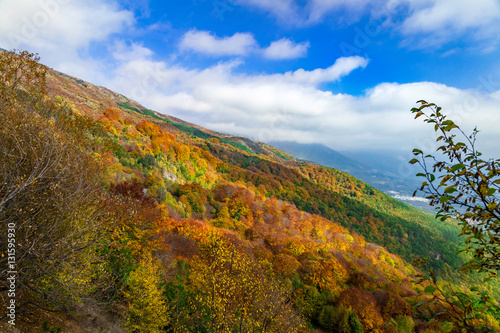 Autumn colors in mountain Voras