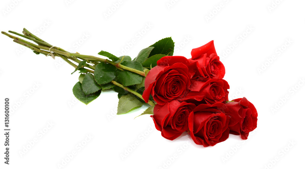 Fototapeta premium czerwona róża bukiet na białym tle