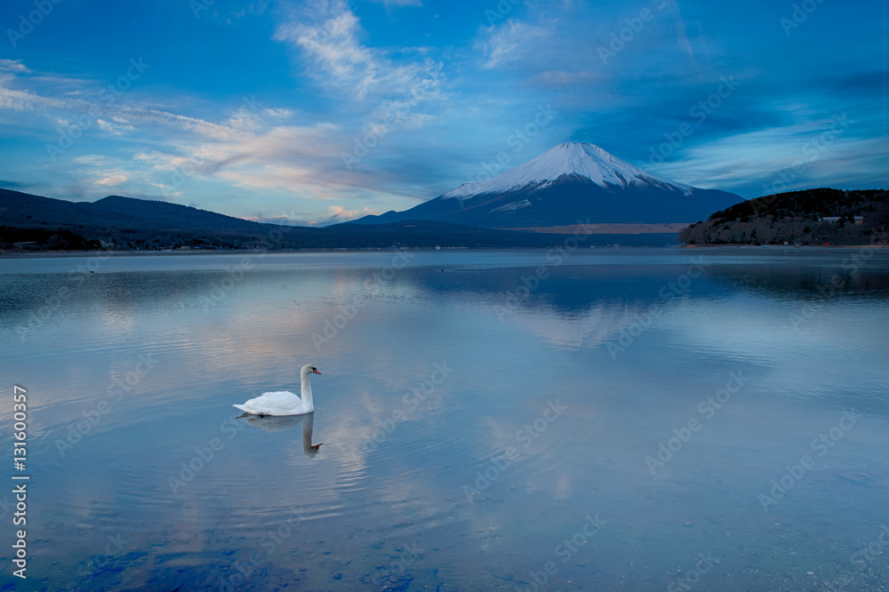 日の出を待つ富士と山中湖の白鳥