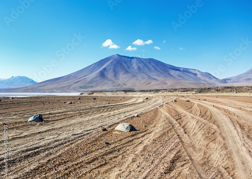 Desert plateau of the Altiplano (an ancient collapsed volcano) - Bolivia, South America